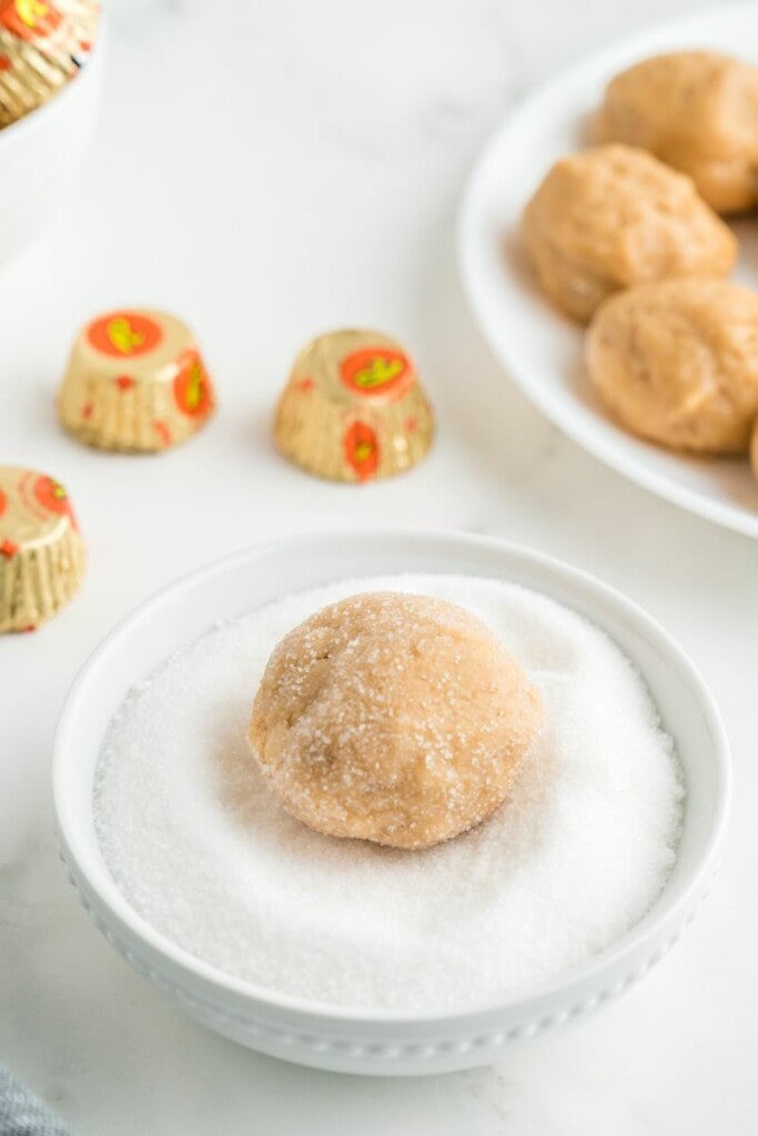 rolled peanut butter cookie dough ball in white sugar 