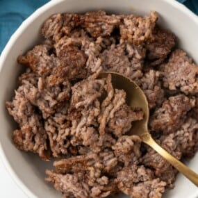 Seasoned ground beef cooked and served in a bowl.