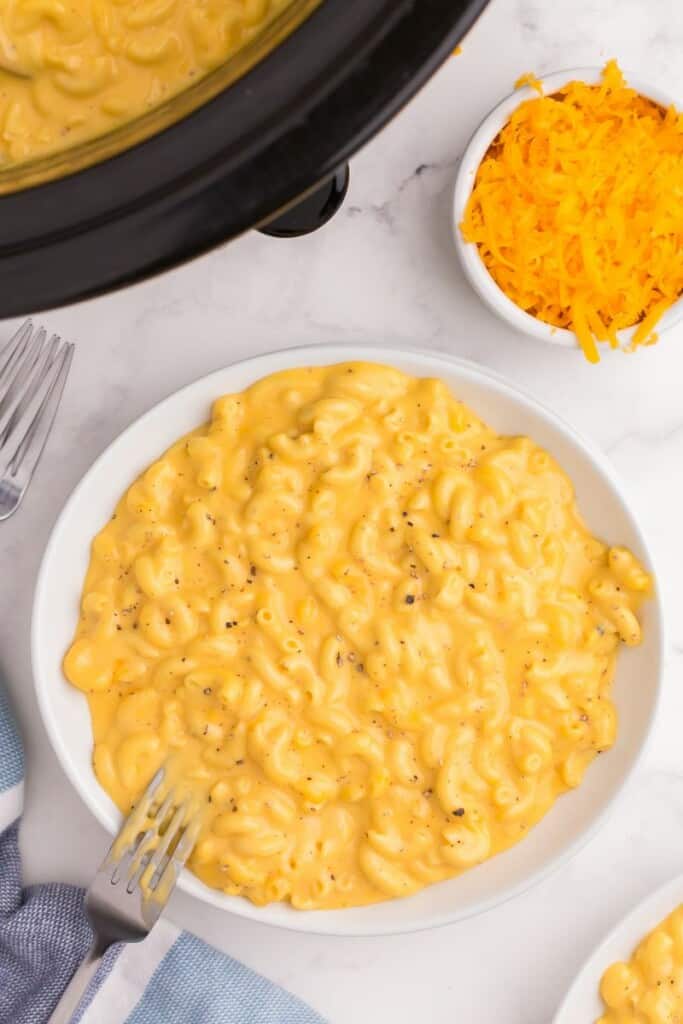 Large serving of velveeta mac and cheese.