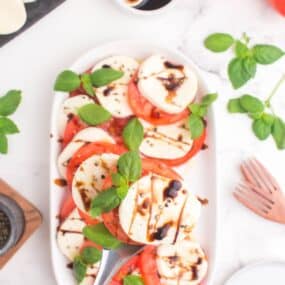 serving mozzarella and tomato salad with fresh basil leaves