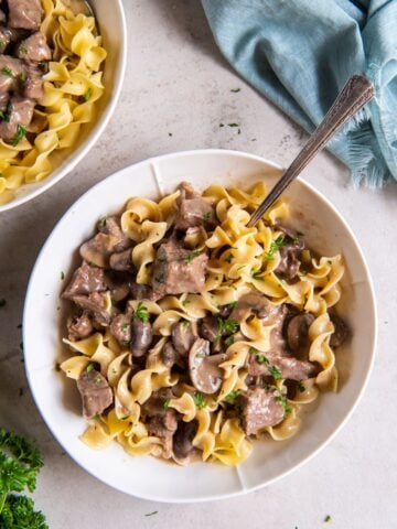 Beef Stroganoff in a bowl with a fork served with egg noodles