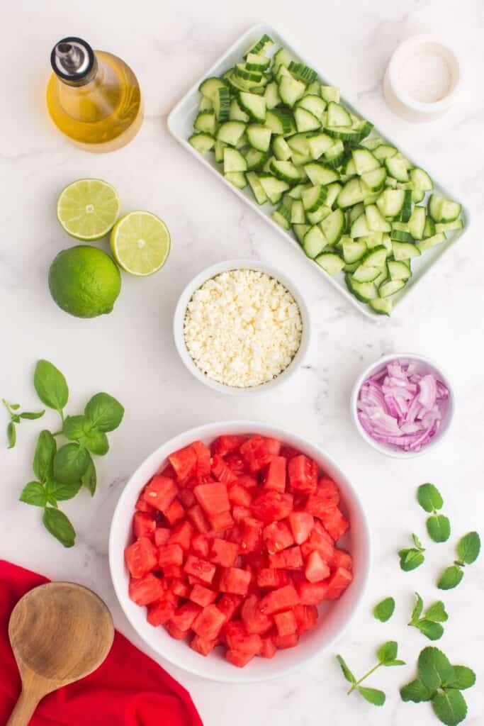 Ingredients needed to make watermelon salad recipe