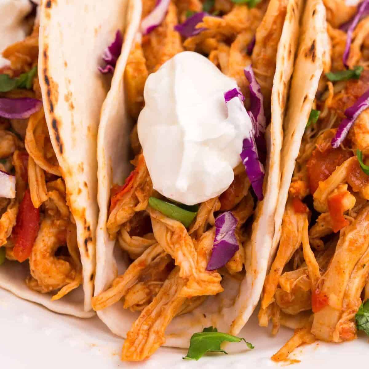 shredded chicken taco with flour tortillas and sour cream