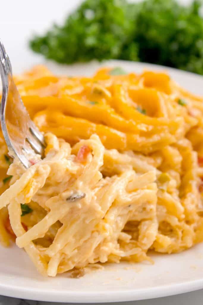 Plated chicken spaghetti with a fork swirled in a scoop ready to take a bite.