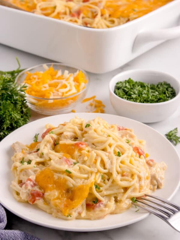 Chicken tetrazzini on a white dinner plate with a fork in front of the baking dish.
