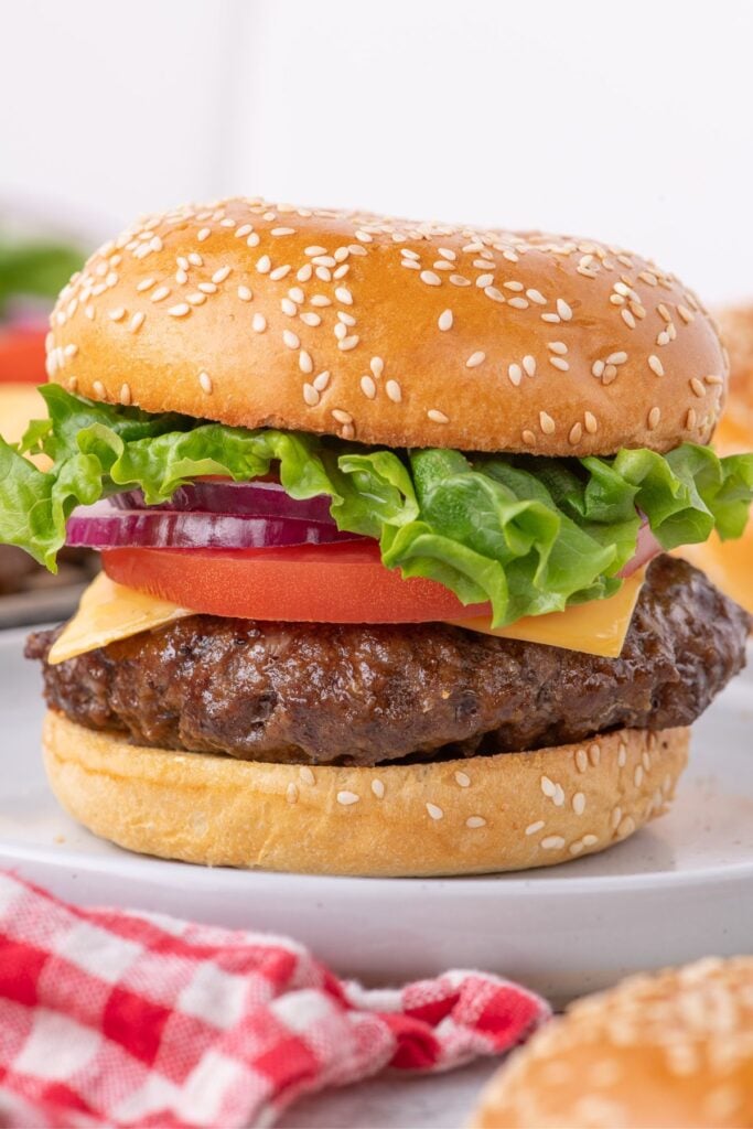 Completed hamburger layered with cheese, lettuce, tomato, and red onion.