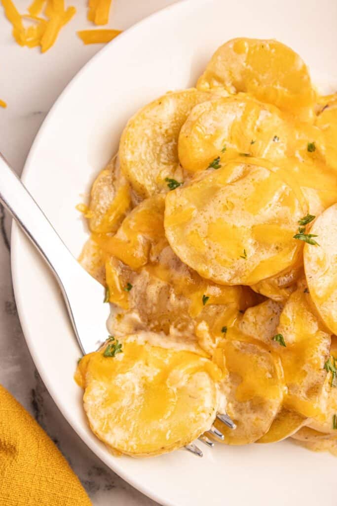 Crockpot scalloped potatoes on a white dinner plate. A fork is on the side of the plate with a bite of scalloped potatoes.