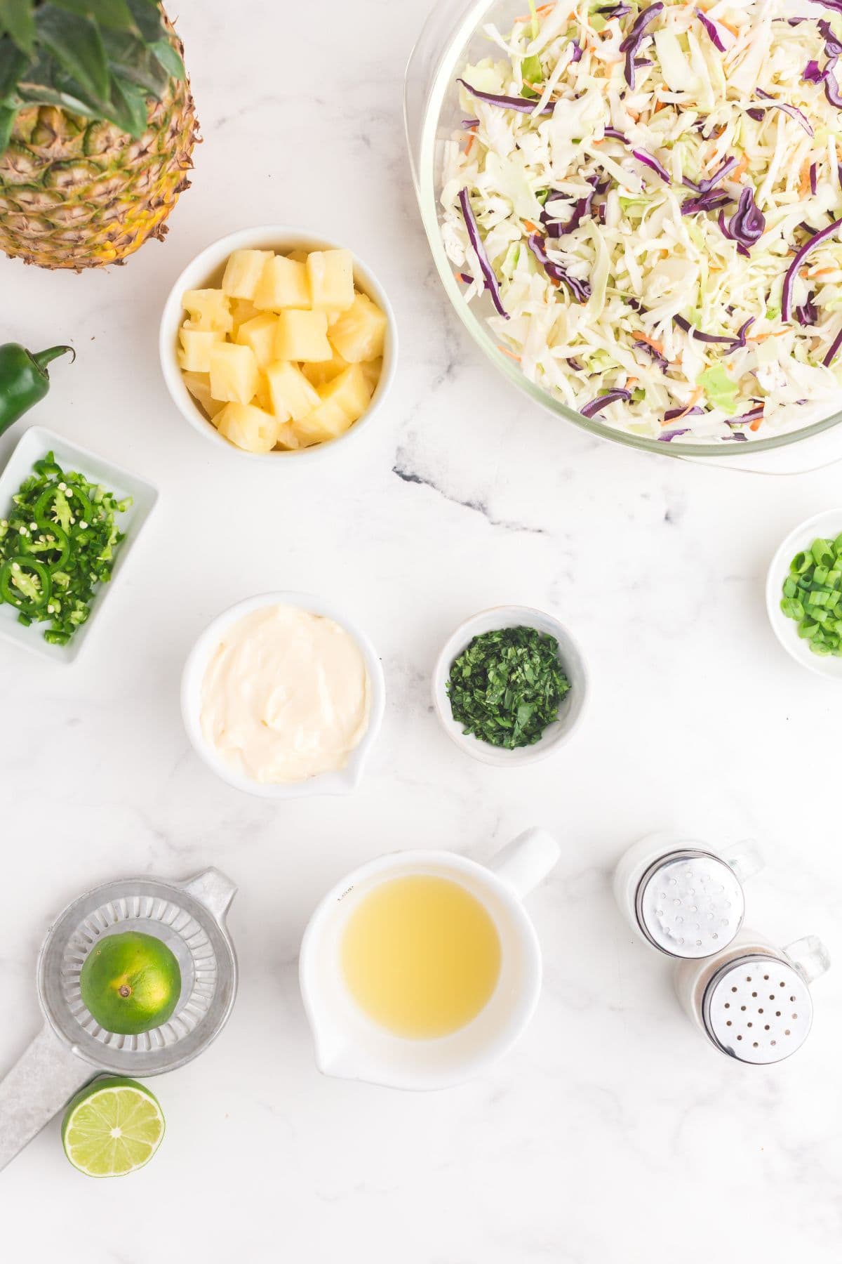 Ingredients for pineapple coleslaw: fresh cilantro, mayo, pineapple juice, fresh lime juice, salt, pepper, coleslaw mix, pineapple tidbits, green onions, and jalapeno.