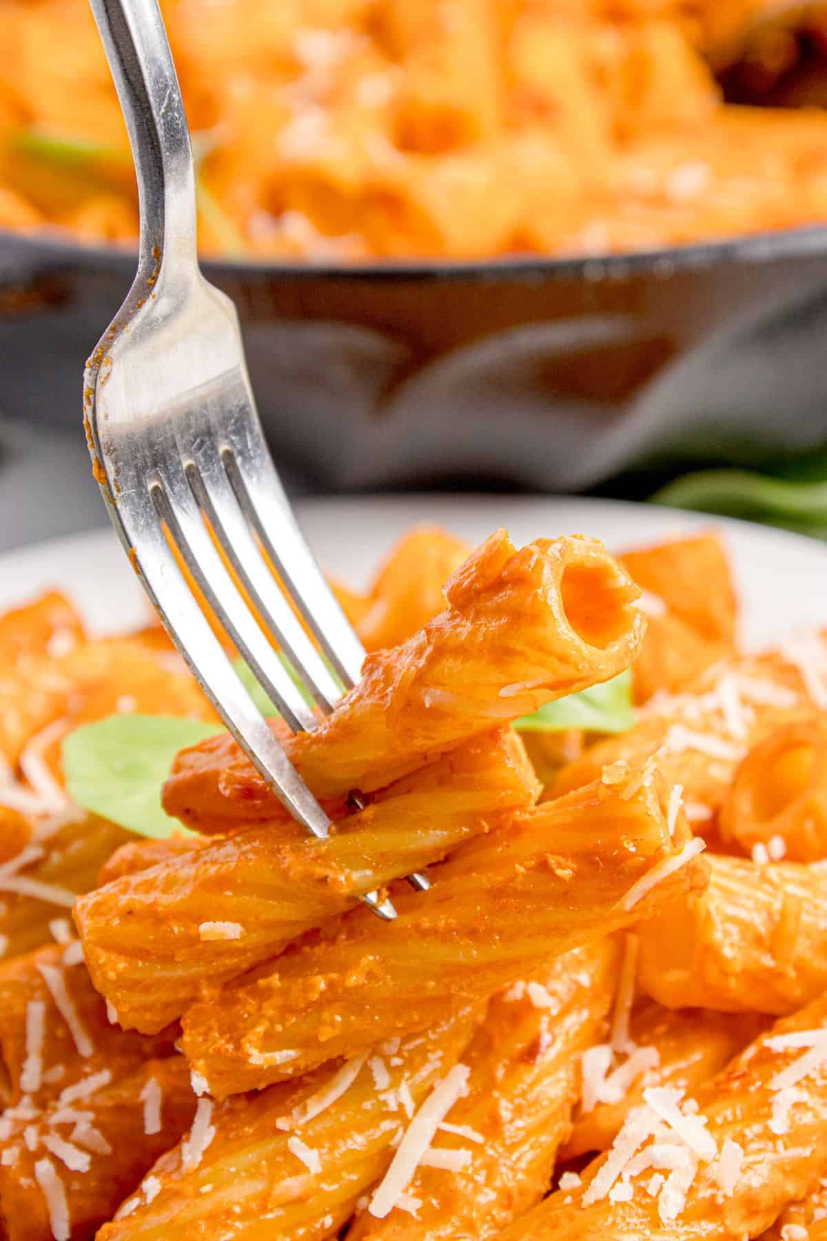 Completed spicy rigatoni on a white dinner plate. A fork is lifting several noodles up for a bite.
