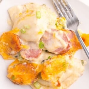 Close up of the pierogi casserole scooped out onto a white plate with a fork.